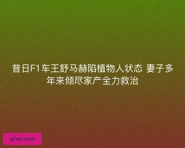 昔日F1车王舒马赫陷植物人状态 妻子多年来倾尽家产全力救治